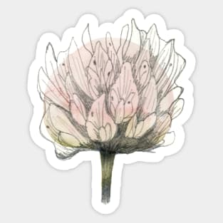 Clover Sticker